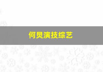 何炅演技综艺