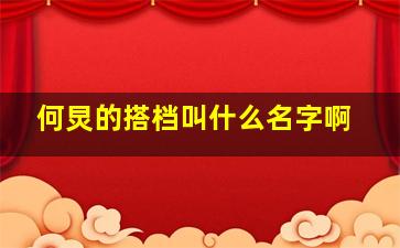 何炅的搭档叫什么名字啊