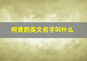 何炅的英文名字叫什么