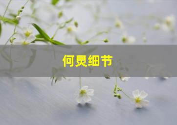 何炅细节