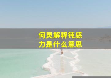 何炅解释钝感力是什么意思