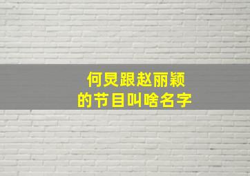 何炅跟赵丽颖的节目叫啥名字