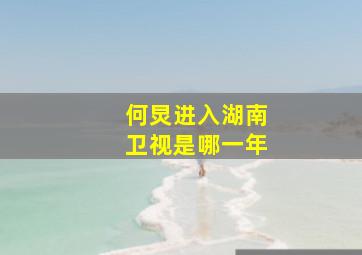 何炅进入湖南卫视是哪一年