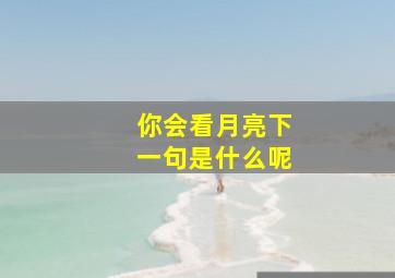 你会看月亮下一句是什么呢