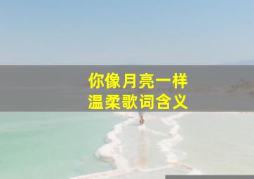 你像月亮一样温柔歌词含义