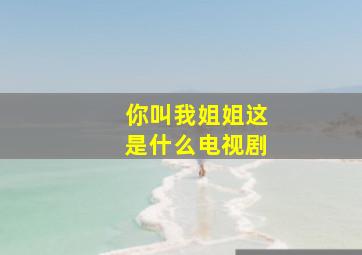 你叫我姐姐这是什么电视剧