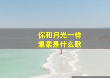 你和月光一样温柔是什么歌