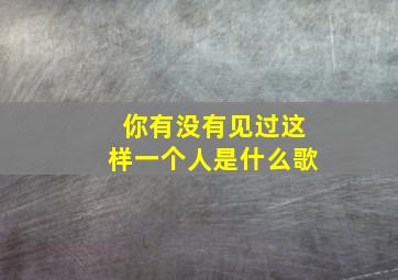 你有没有见过这样一个人是什么歌