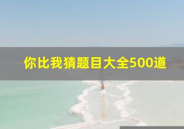 你比我猜题目大全500道