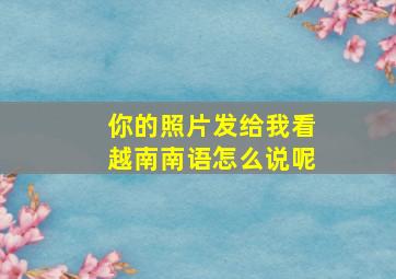 你的照片发给我看越南南语怎么说呢