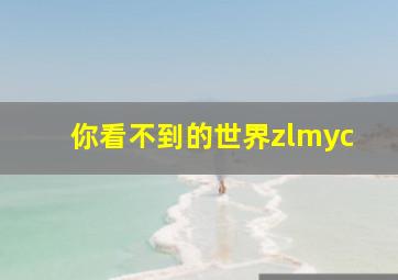 你看不到的世界zlmyc