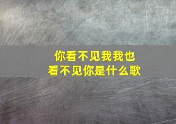 你看不见我我也看不见你是什么歌