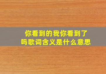 你看到的我你看到了吗歌词含义是什么意思