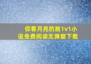 你看月亮的脸1v1小说免费阅读无弹窗下载