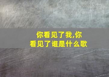 你看见了我,你看见了谁是什么歌