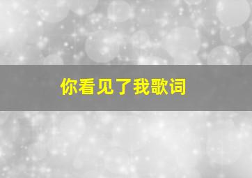 你看见了我歌词