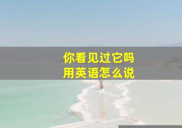 你看见过它吗用英语怎么说