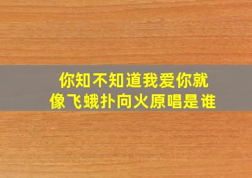 你知不知道我爱你就像飞蛾扑向火原唱是谁