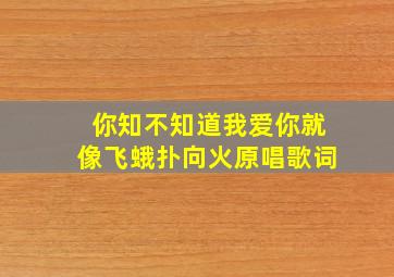 你知不知道我爱你就像飞蛾扑向火原唱歌词