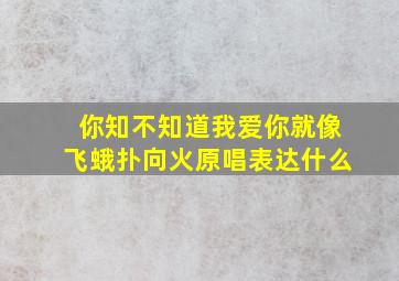 你知不知道我爱你就像飞蛾扑向火原唱表达什么