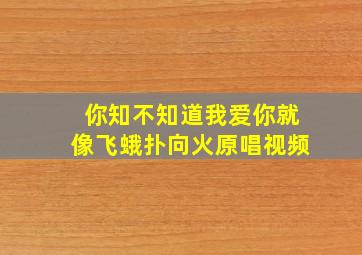 你知不知道我爱你就像飞蛾扑向火原唱视频