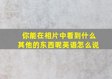 你能在相片中看到什么其他的东西呢英语怎么说