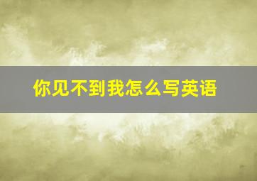 你见不到我怎么写英语