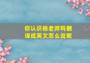 你认识杨老师吗翻译成英文怎么说呢