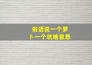 俗话说一个萝卜一个坑啥意思