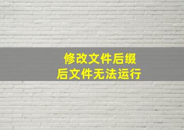 修改文件后缀后文件无法运行