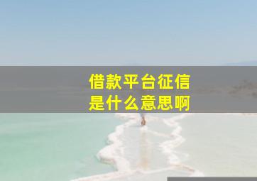 借款平台征信是什么意思啊