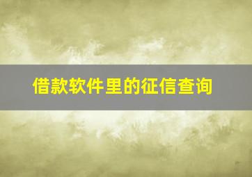 借款软件里的征信查询