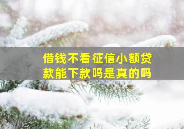 借钱不看征信小额贷款能下款吗是真的吗