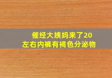 催经大姨妈来了20左右内裤有褐色分泌物