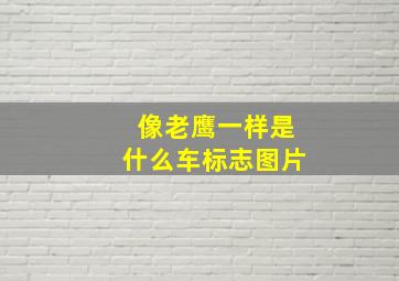 像老鹰一样是什么车标志图片