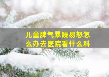 儿童脾气暴躁易怒怎么办去医院看什么科