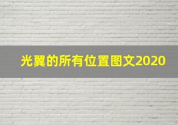 光翼的所有位置图文2020