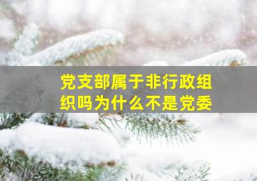 党支部属于非行政组织吗为什么不是党委