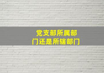 党支部所属部门还是所辖部门