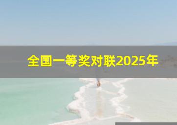 全国一等奖对联2025年