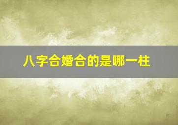 八字合婚合的是哪一柱