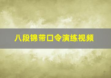 八段锦带口令演练视频