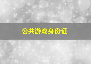 公共游戏身份证