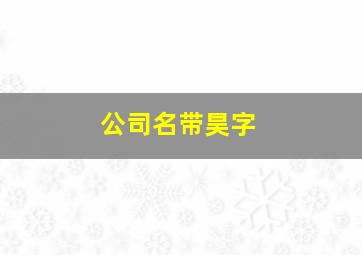 公司名带昊字