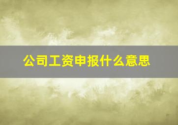 公司工资申报什么意思