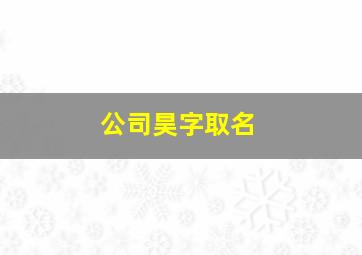 公司昊字取名