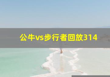 公牛vs步行者回放314