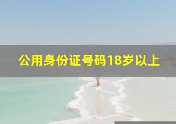 公用身份证号码18岁以上