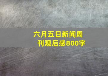 六月五日新闻周刊观后感800字