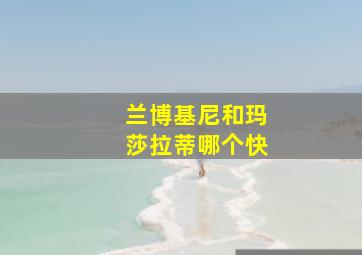 兰博基尼和玛莎拉蒂哪个快